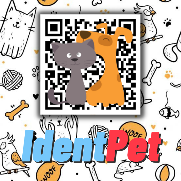 Imagem de capa do card